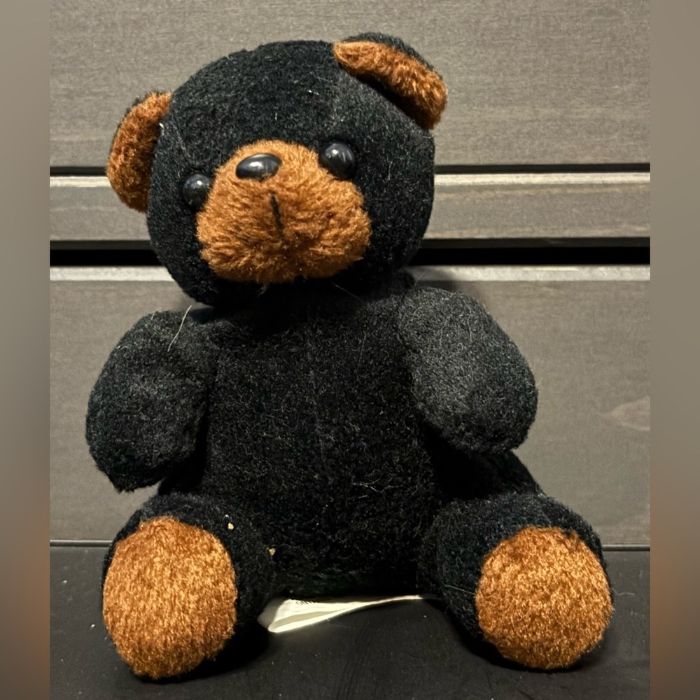 ✨5/$25✨ Plush Black and Brown Teddy Bear